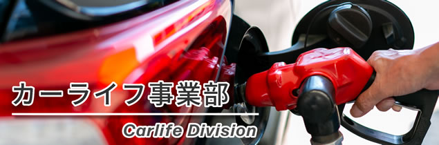 �J�[���C�t���ƕ�