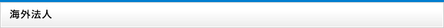 海外法人