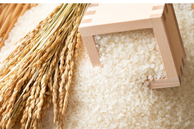 ふるさと納税事業