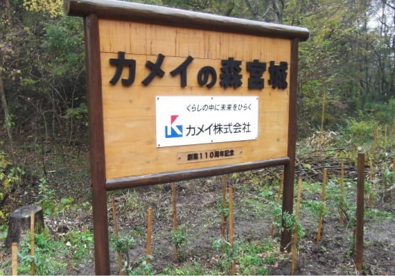 カメイの森宮城看板